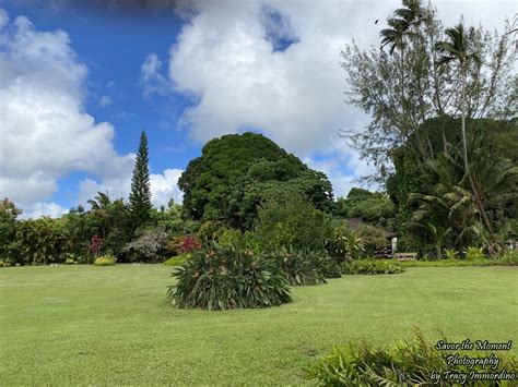 Visiting the Kilohana Plantation - Savor the Moment Photography