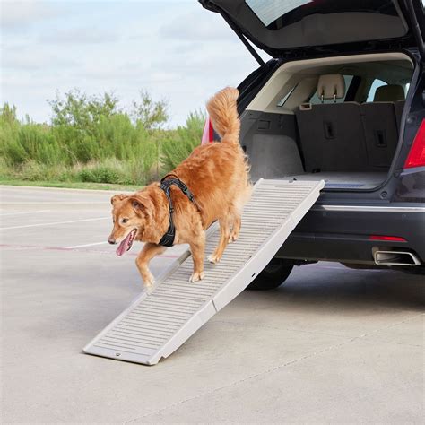 FRISCO Tri-Fold Travel Dog Car Ramp, Gray - Chewy.com