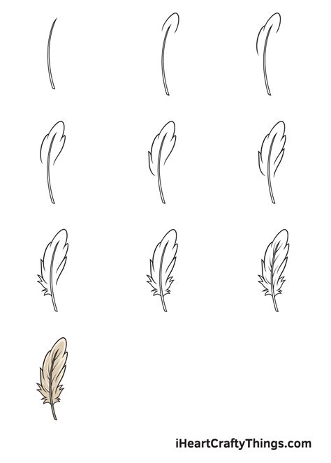 Feather Drawing - How To Draw A Feather Step By Step