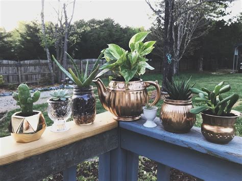 Plants in unique vases | Plants, Plant mom, Unique vases