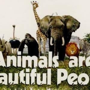 Animals Are Beautiful People - Rotten Tomatoes