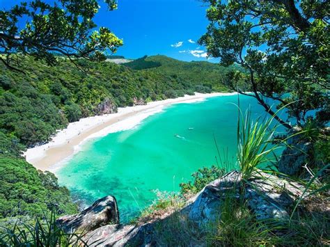 The Most Beautiful Beaches in New Zealand | Most beautiful beaches, New ...