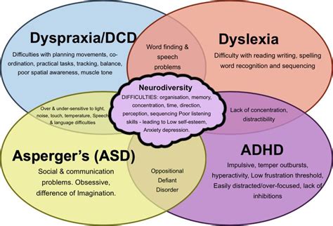 Dyslexia, dyspraxia, ADD and other learning needs/neurodiversities ...