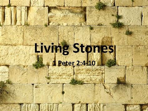 Living Stones 1 Peter 2 4 10 Two