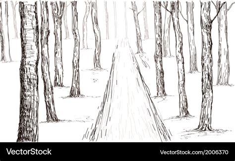 Forest drawing Royalty Free Vector Image - VectorStock