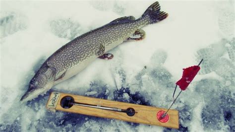 10 Proven Tip Up Ice Fishing Tips & Strategies ⋆ Tackle Scout