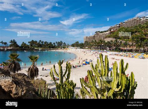 Beach of Arguineguin, Gran Canaria, Canary Islands, Spain Stock Photo ...