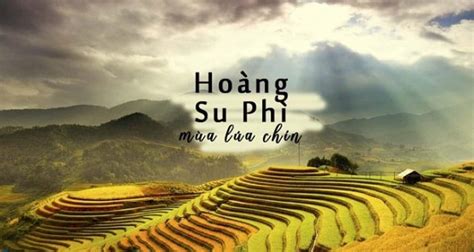 10 lưu ý khi đi du lịch Hoàng Su Phì Hà Giang - Top 10 Hà Giang