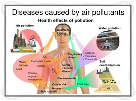 Effects of air pollution m3