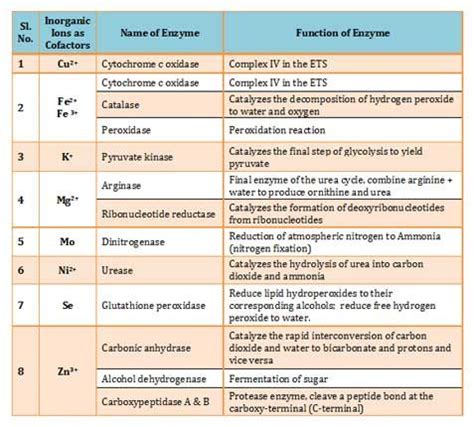 examples of cofactors | Question paper, Life sciences, Model question paper