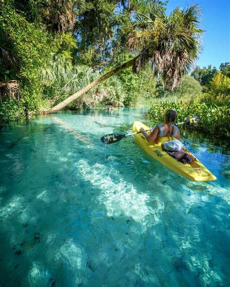 Wekiwa Springs State Park In Florida! | Orlando travel, Florida holiday ...