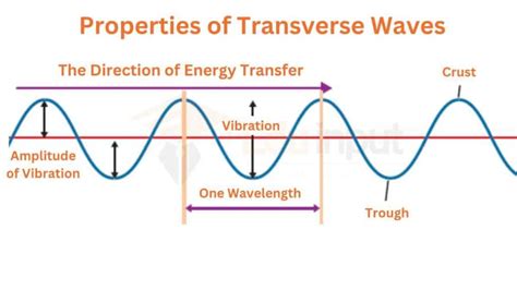 Transverse Waves-Examples, Diagram, And Properties