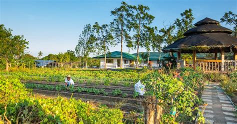 10 Best Destinations for Farm Tours in the Philippines | Guide to the Philippines