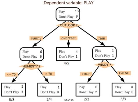 Top 10 Machine Learning Algorithms You Must Know in 2024