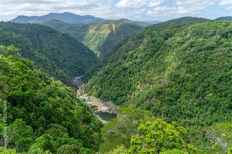 The Australian rainforest in the north of Australia near Cairns with green mountains and blue ...