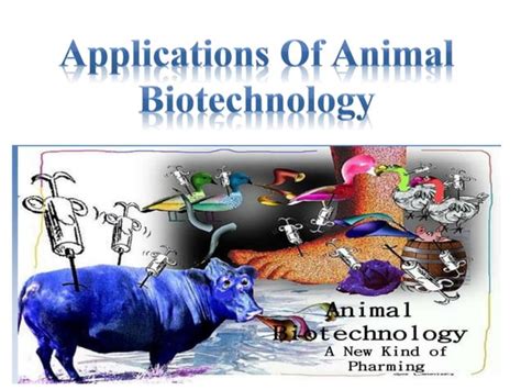 Applications of animal biotechnology