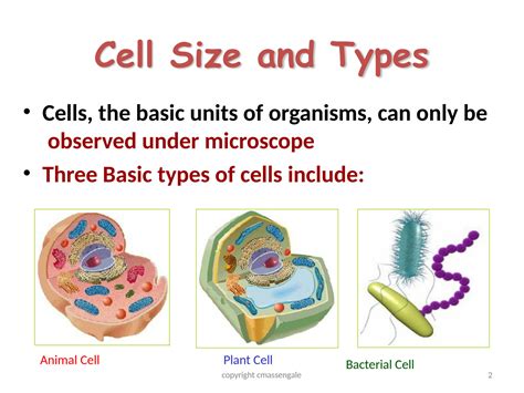 SOLUTION: Biology-Cell structure - Studypool