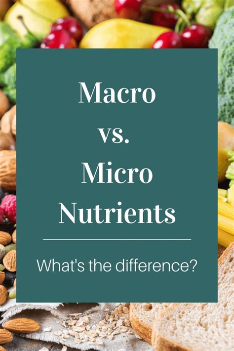 Macronutrients vs. Micronutrients: What's the Difference? | Nutrition ...