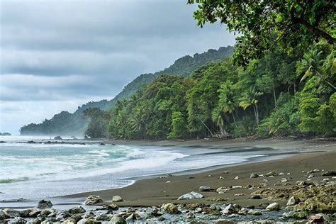 Corcovado Nat'l Park Small-Group Full Day Tour From San Jose 2022 - Viator