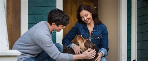 A Dog's Way Home movie review (2019) | Roger Ebert