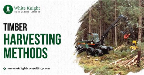 A Closer Look at Timber Harvesting Methods & Process