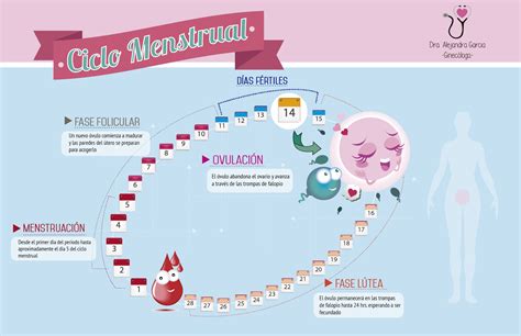 Dolor menstrual ¿por qué se produce y como aliviarlo? - Blog de Inma Vinue, farmacéutica