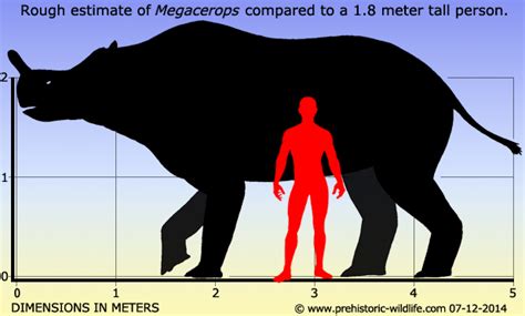 Thylacosmilus