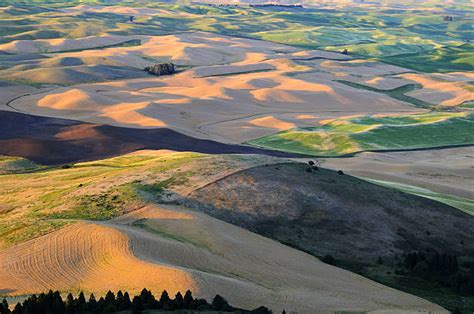 200+ Aerial View Of Palouse Stock Photos, Pictures & Royalty-Free Images - iStock