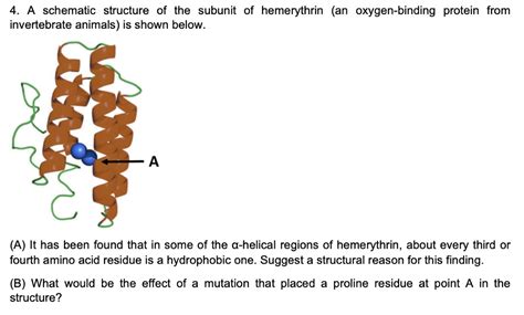 SOLVED: A schematic structure of the subunit of hemerythrin (an oxygen-binding protein from ...