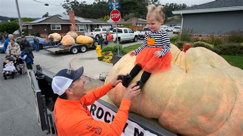 Pumpkin weighing 2,749 pounds wins California contest, sets world ...