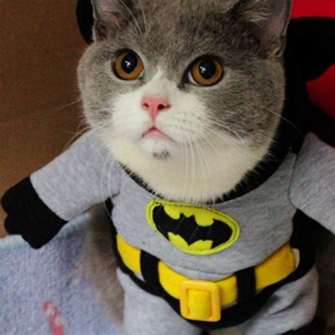 Cat Costume Funny Batman Costume Pet Clothing