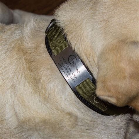 K9 Collar | Cole-TAC Outdoor Gear