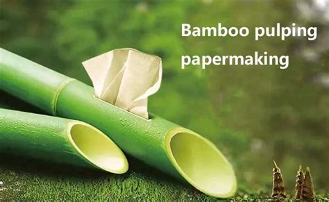 Bamboo pulping and papermaking-the efficient use of bamboo fiber