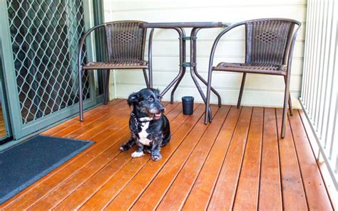 Walu Caravan Park - Budgewoi - Central Coast - NSW | Pet Friendly