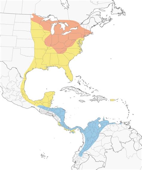 Blackpoll Warbler Migration Map