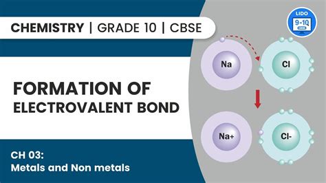 Formation of Electrovalent Bond | Metals and Non metals | Class 10 ...