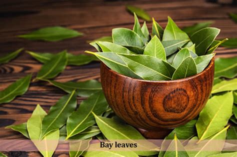 Bay leaf: The importance and health benefits of Bay leaf - Ken's Health Blog