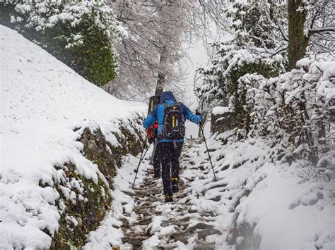 Winter Trekking in the Italian Alps Stock Image - Image of ...