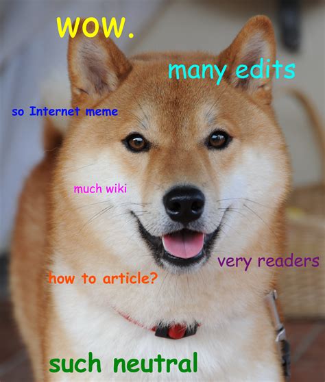 Shiba Inu Doge Meme