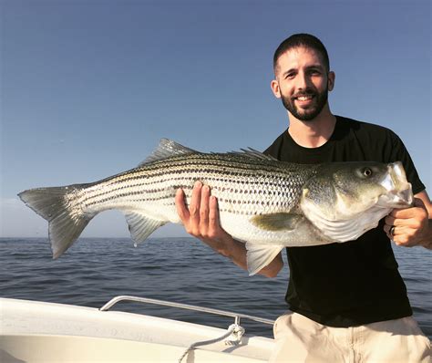 Portland Maine Fishing Charters for Striped Bass and Mackerel