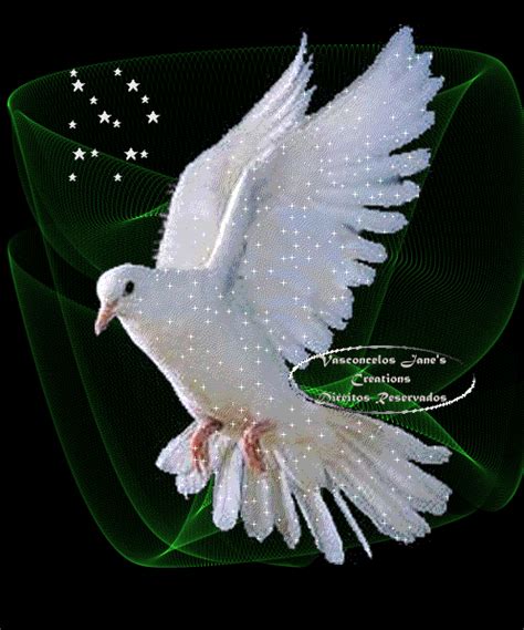 ~White Holy Spirit Dove!~ gif by GroovyGrannySuesGraphics | Photobucket