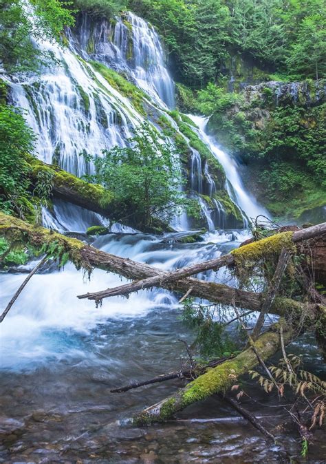 Panther Creek Falls #2 (With images) | National parks trip, Travel photography, Beautiful waterfalls