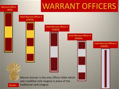 Warrant Officers (Marine Corps) Diagram | Quizlet