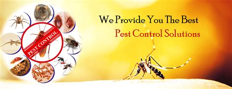 Hire the Best Pest Control Services Noida | ZX Pest Control