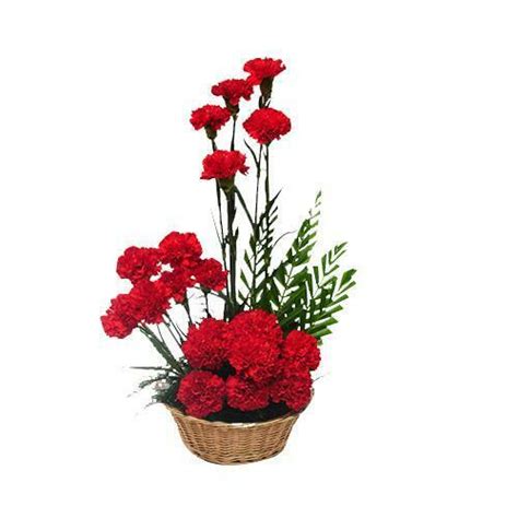 Round Carnations Basket - GiftsCake