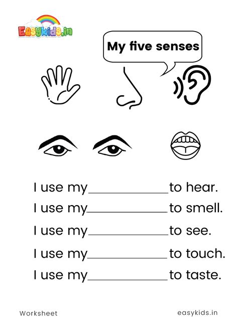 The Five Senses 2 worksheet - Worksheets Library