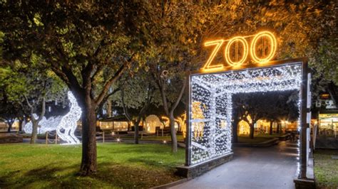 Festival of Lights at Joburg Zoo - Joburg.co.za