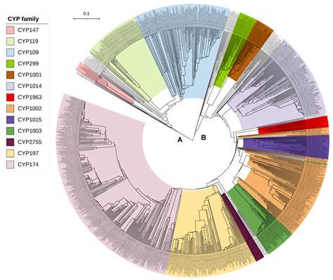 IJMS | Free Full-Text | Evolution of Cytochrome P450 Enzymes and Their Redox Partners in Archaea