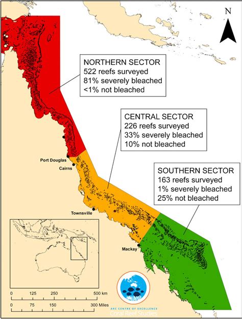 Great Barrier Reef bleaching stats are bad enough without media ...