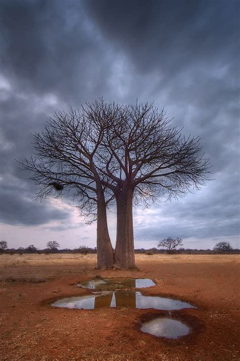 South Africa Landscapes - WildLight Photography